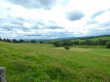 A grassy field with trees and distant hills under a cloudy sky at Black Mountain View in Llanafan Fawr near Builth Wells