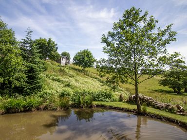 A pond with green grass and trees surrounding it with a house on a hill in the background at Black Mountain View in Llanafan Fawr near Builth Wells