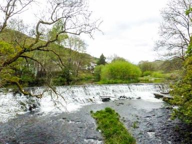 A river with a small waterfall surrounded by trees and greenery at Kingfisher Barn in Staveley near Windermere