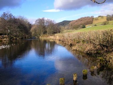 A river with wooden posts in the water surrounded by trees and fields at Kingfisher Barn in Staveley near Windermere