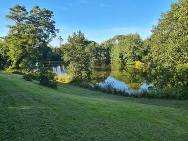 A grassy area with trees surrounding a pond under a clear blue sky at Kingfisher Cottage in Llanboidy