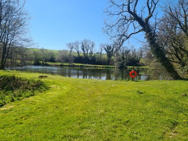 A grassy area with a pond surrounded by trees under a clear blue sky at Kingfisher Cottage in Llanboidy