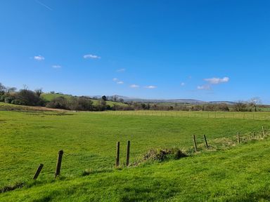 A green grassy field with wooden fence posts and trees in the distance under a clear blue sky at Kingfisher Cottage in Llanboidy