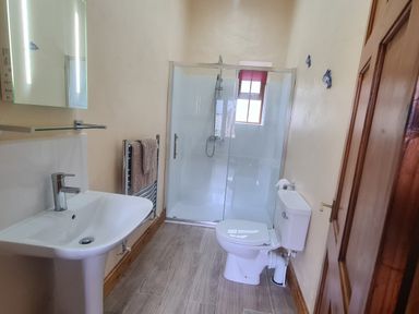 A bathroom with a sink a towel rack a shower with glass doors and a toilet at Swallow Cottage in Llanboidy
