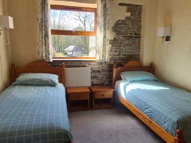 A bedroom with two single beds with blue checkered bedding and wooden nightstands under a window at Swallow Cottage in Llanboidy