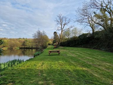 A grassy area with a wooden picnic table next to a pond surrounded by trees at Swallow Cottage in Llanboidy
