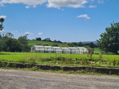 A grassy field with a greenhouse and trees in the background at Sandpiper Cottage in Llanboidy