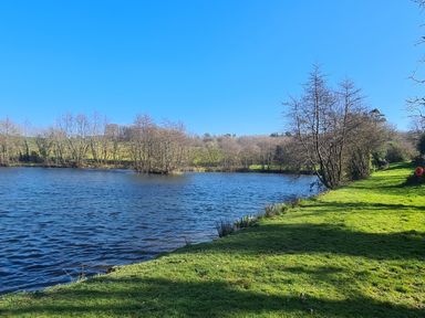 A lake with surrounding trees and grassy bank under a clear blue sky at Sandpiper Cottage in Llanboidy