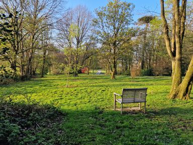 A grassy park area with trees and a bench near Sandpiper Cottage in Llanboidy