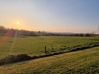 A grassy field with fence posts and trees under a setting sun at Sandpiper Cottage in Llanboidy