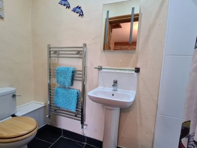 A bathroom with a toilet a sink a mirror a metal towel rack with blue towels and dolphin wall decorations at Puffin Cottage in Llanboidy