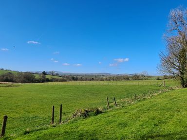 A grassy field with fences trees and hills under a blue sky at Puffin Cottage in Llanboidy