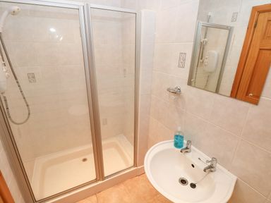 A bathroom with a shower enclosure a sink with two taps and a mirror at Hill Top Farm Cottage in Martletwy near Narbeth