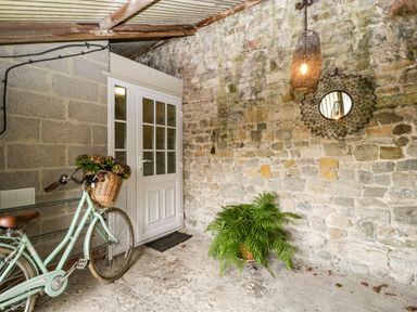 A covered area with a bicycle holding flowers next to a white door and a fern plant beneath a hanging light and round mirror at Pear Tree Cottage in Mark near Burnham-on-Sea