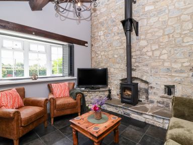 A living room with a television and wood stove at Pear Tree Cottage Mark near Burnham-on-Sea