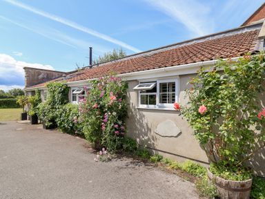 A building with flowers and plants at Pear Tree Cottage Mark near Burnham-on-Sea