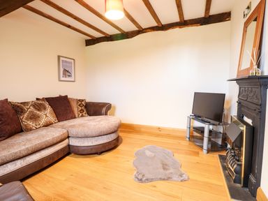 A living room with a curved sofa a television on a stand a fireplace and a small rug on a wooden floor at The Old House in Llanidloes