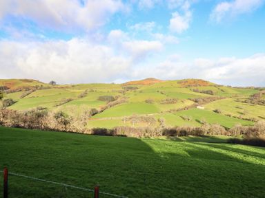Green fields and trees with hills in the background under a blue sky at The Old House in Llanidloes