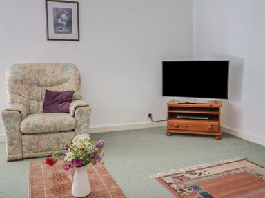 A living room with an armchair and a television at West Bowden Farm in Knowstone near South Molton