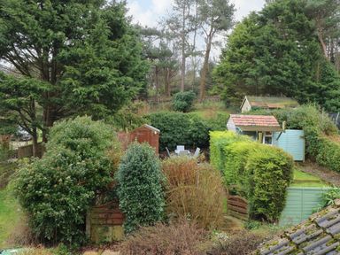 A garden with trees bushes sheds and outdoor furniture at 5 Melinda Cottages in East Runton near Cromer