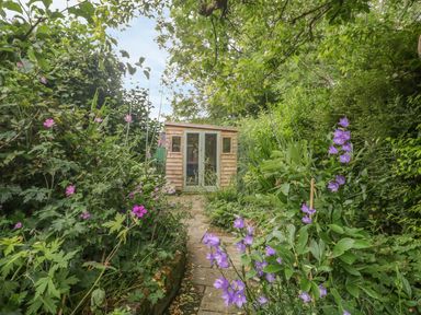 A garden path leading to a wooden shed surrounded by green plants and purple flowers at Apple Tree Cottage in Shillingstone near Sturminster Newton