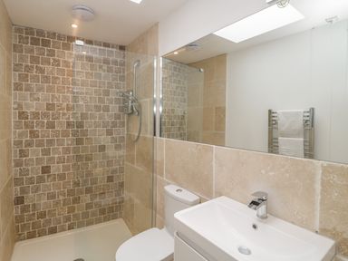 A bathroom with a walk-in shower sink toilet and a towel rack at Apple Tree Cottage in Shillingstone near Sturminster Newton