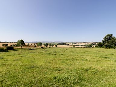 A grassy field with scattered trees and farmland in the distance at Bunty's Place in Chatton near Wooler