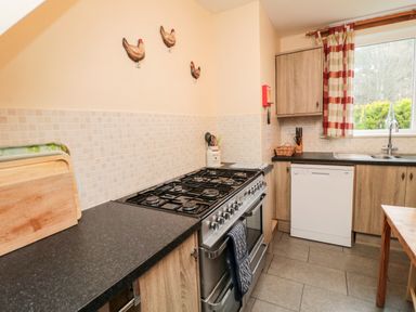 A kitchen with a gas stove, dishwasher, wooden cabinets, a window with red and white curtains and wall decorations at Bunty's Place Chatton near Wooler