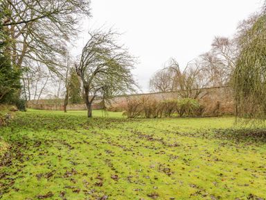 A grass lawn with scattered leaves trees and shrubs in front of a brick wall at Eden House in Edenhall near Penrith