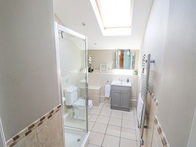 A bathroom with a shower enclosure toilet vanity unit skylight and towel radiator at Penuwch Fach in Aberystwyth