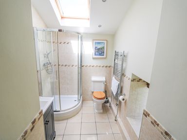 A bathroom with a corner shower, toilet, towel rack, and a skylight at Penuwch Fach in Aberystwyth