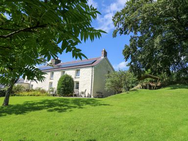 A white stone house with a green lawn and trees surrounding it at Penuwch Fach in Aberystwyth