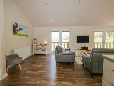 A living room with grey sofas a wall-mounted TV a wooden floor and a side table near glass doors at Cartmel Lodge in Allithwaite near Grange-over-Sands