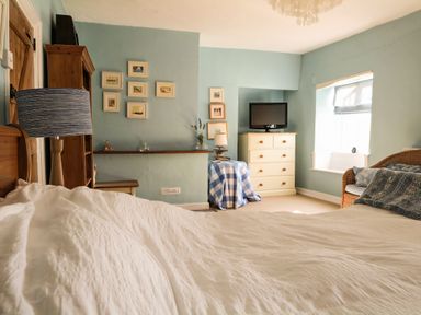 A bedroom with a bed white duvet a wooden dresser TV and a wicker sofa at Craft Cottage Beer near Seaton