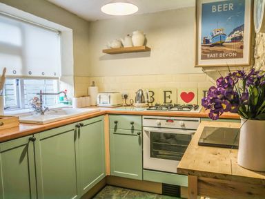 A kitchen with green cabinets a white oven kettle and toaster a shelf with teapots and a framed poster on the wall at Craft Cottage in Beer near Seaton