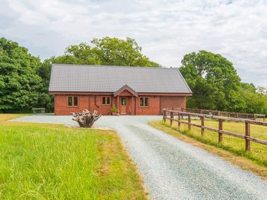 A wooden house with a gravel driveway and fenced grassy area surrounded by trees at Hampton Lodge in Ellesmere