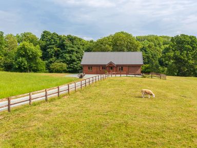 A wooden house with a fenced gravel driveway and a sheep grazing on the grass at Hampton Lodge in Ellesmere