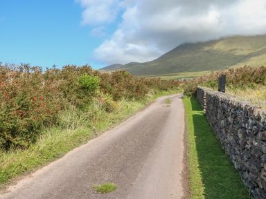 A narrow country road with bushes on one side and a stone wall on the other with hills in the background at An Nead in Ballinknockane near Dingle County Kerry