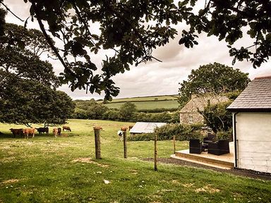 A farmyard with cows grazing near a stone building and a small patio with chairs at Vine Cottage in St Ewe near Sticker