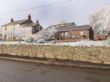 A stone wall in front of two houses with snow-covered trees and bushes at Sonya's Cottage in Anthorn Solway Firth