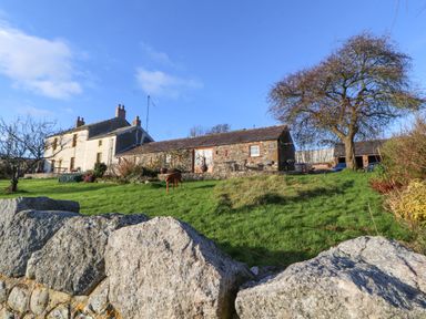 A stone and white house with a grassy yard a dog and trees at Sonya's Cottage in Anthorn Solway Firth