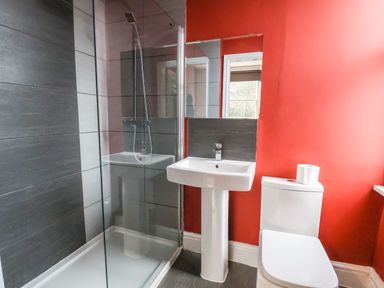 A bathroom with a shower enclosure sink toilet and a red painted wall at Mountain View in Penmaenmawr