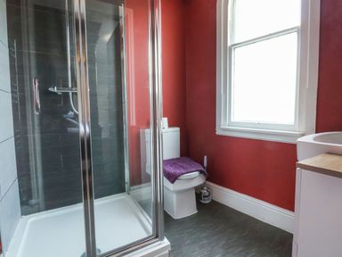 A bathroom with a shower enclosure toilet with a purple cover and a sink at Mountain View in Penmaenmawr