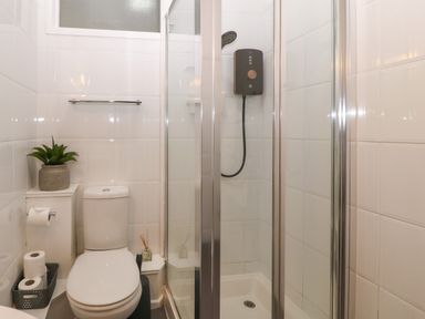 A bathroom with a toilet a shower with glass doors a small potted plant and toilet paper at Y Castell Apartment 1 in Criccieth