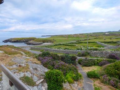 A coastal landscape with rocky cliffs grassy fields and stone walls at Ty'r Enfys Bach - Upper in Trearddur Bay