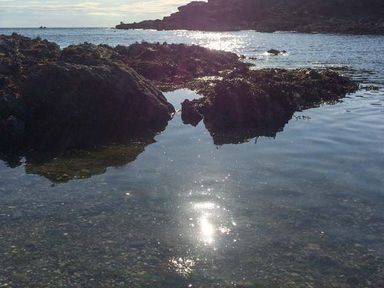 A rocky shoreline with water and sunlight reflections at Ty'r Enfys Bach - Upper in Trearddur Bay