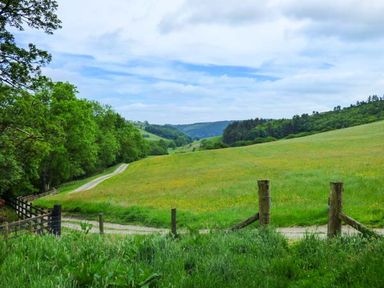 A green field with trees and a dirt path with wooden fence posts at Ploony Cottage in Bleddfa