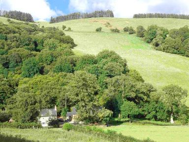 A rural landscape with trees and a few houses at Ploony Cottage in Bleddfa