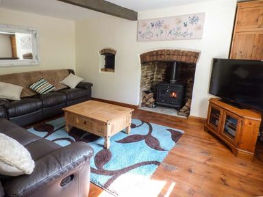 A living room with a leather sofa a wooden coffee table a fireplace with a stove a wooden TV cabinet and a television at Ploony Cottage in Bleddfa