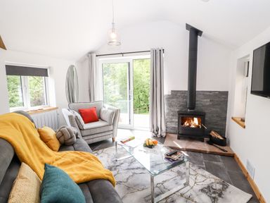 A living room with a sofa and armchair a glass coffee table a wood burning stove and a television at Lands Brow Lodge in Wigton